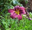 tn_gallery_387_1217_74555.jpg