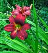 tn_gallery_387_1217_99016.jpg