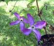 tn_gallery_387_1714_18692.jpg