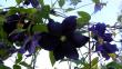 tn_gallery_387_1714_23173.jpg