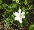 tn_gallery_387_1714_23238.jpg