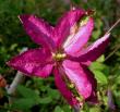tn_gallery_387_1714_34312.jpg