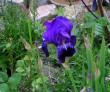 tn_gallery_387_1718_12272.jpg