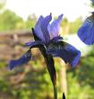 tn_gallery_387_1718_17782.jpg