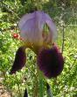 tn_gallery_387_1718_56304.jpg