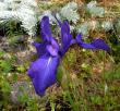 tn_gallery_387_1718_61724.jpg