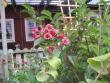 tn_gallery_5891_1722_14345.jpg