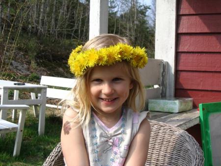 gallery_12888_1724_40600.jpg