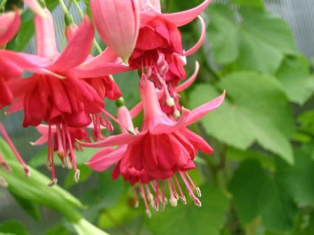 gallery_12888_1725_26033.jpg