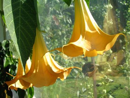 gallery_12888_1725_42560.jpg