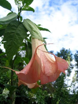 gallery_12888_1725_48853.jpg