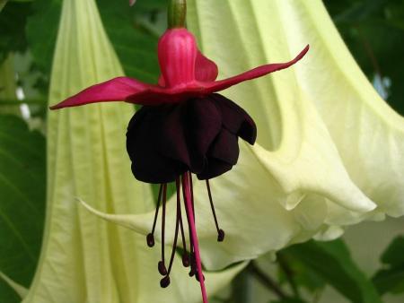 gallery_12888_1725_7351.jpg