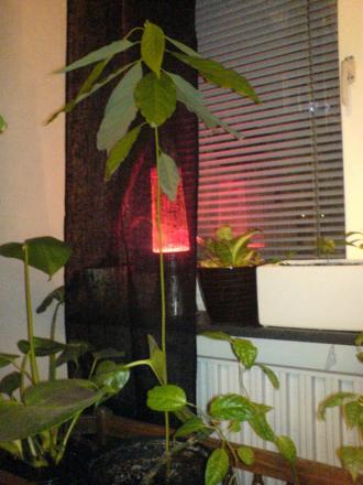 gallery_10257_418_331648.jpg