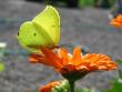 tn_gallery_12888_1729_18344.jpg
