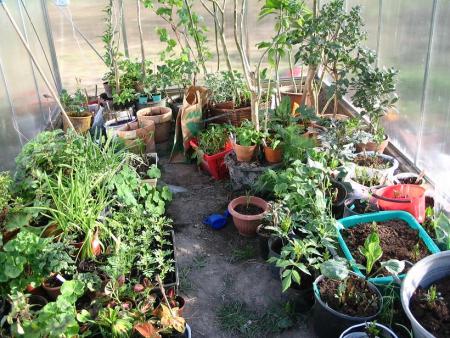 gallery_12888_1729_108160.jpg