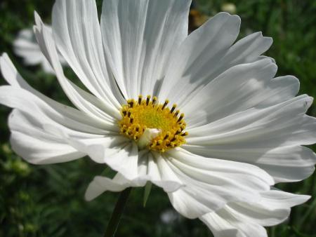 gallery_12888_1729_11251.jpg