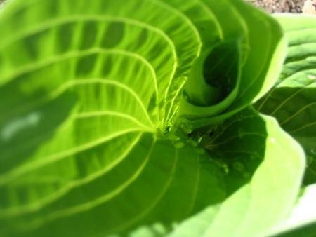 gallery_12888_1729_13818.jpg