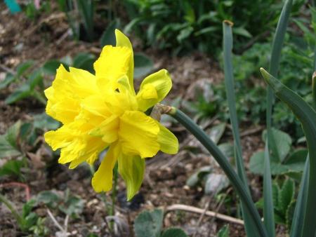 gallery_12888_1729_22465.jpg