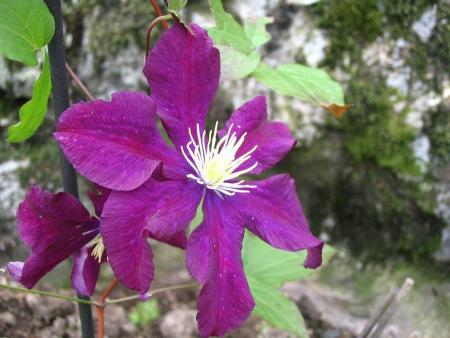 gallery_12888_1729_47236.jpg
