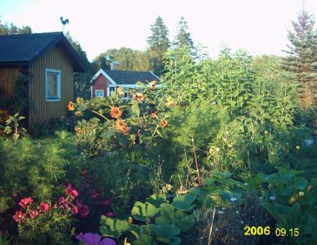 gallery_2529_1142_13133.jpg
