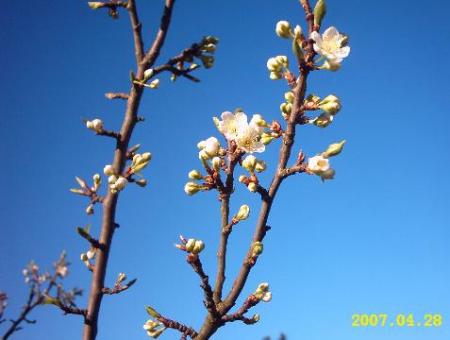 gallery_2529_1142_14472.jpg