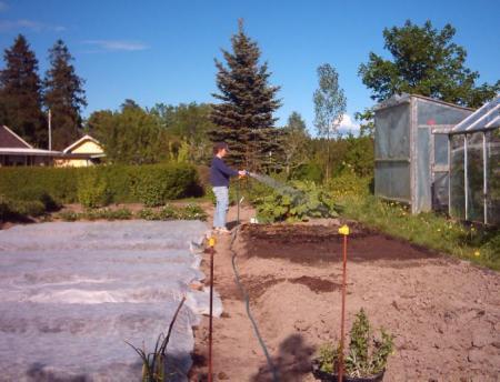 gallery_2529_1142_4328.jpg