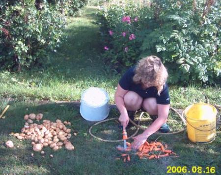 gallery_2529_1142_45654.jpg