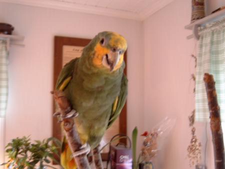 gallery_10191_1736_20798.jpg