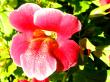 tn_gallery_6592_286_127898.jpg