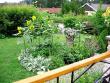 tn_gallery_6592_286_474862.jpg