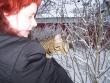 tn_gallery_7606_1741_4709.jpg