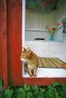 tn_gallery_1691_657_12506.jpg