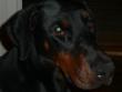 tn_gallery_8_1747_25673.jpg
