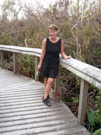gallery_10191_1750_65330.jpg