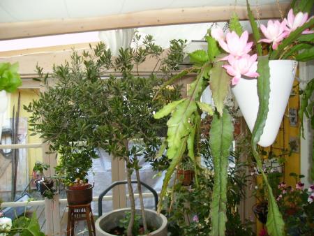 gallery_4930_1561_90857.jpg