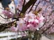 tn_gallery_13578_8_203550.jpg