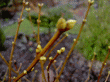 tn_gallery_834_1753_260100.gif