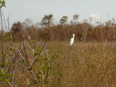 gallery_10191_1750_103145.jpg
