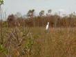 tn_gallery_10191_1750_103145.jpg