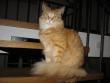 tn_gallery_4113_128_100432.jpg