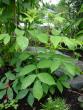 tn_gallery_72_1707_59287.jpg