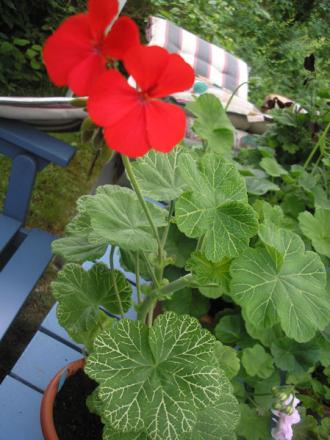 gallery_5783_1182_2917.jpg