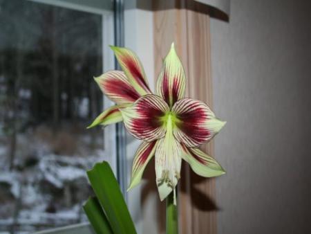gallery_4227_1765_250.jpg