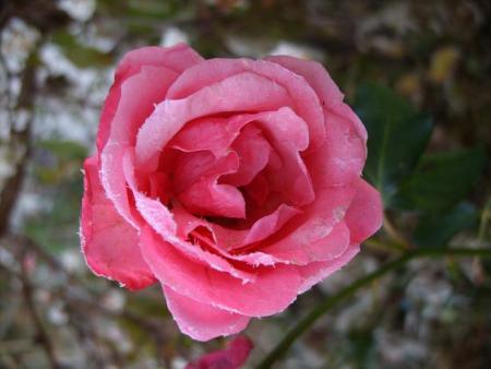 gallery_5307_533_48000.jpg