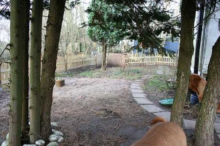 gallery_11937_1767_30564.jpg