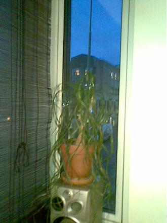 gallery_13624_1768_20730.jpg