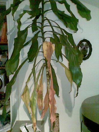 gallery_13624_1768_76014.jpg