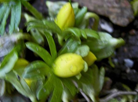 gallery_834_1753_23103.jpg