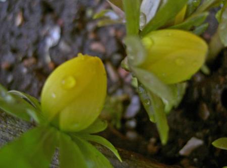 gallery_834_1753_7561.jpg