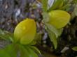 tn_gallery_834_1753_7561.jpg
